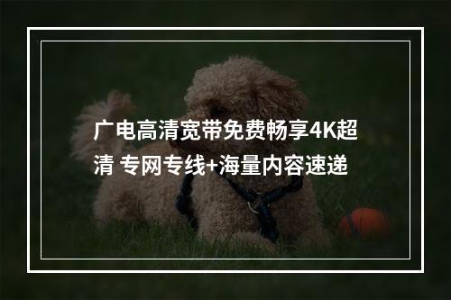 广电高清宽带免费畅享4K超清 专网专线+海量内容速递