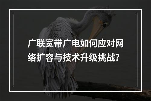 广联宽带广电如何应对网络扩容与技术升级挑战？