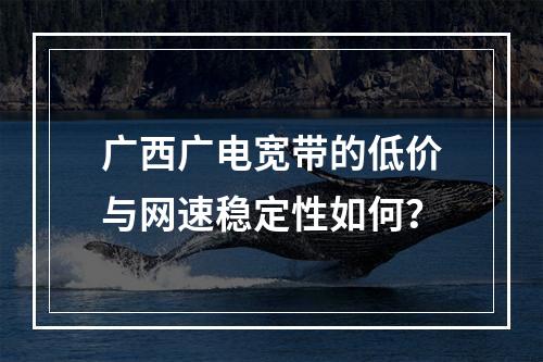 广西广电宽带的低价与网速稳定性如何？