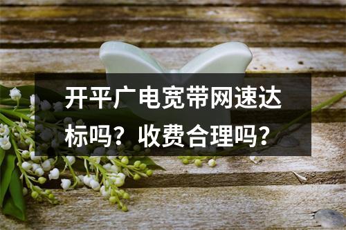 开平广电宽带网速达标吗？收费合理吗？