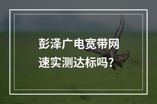 彭泽广电宽带网速实测达标吗？