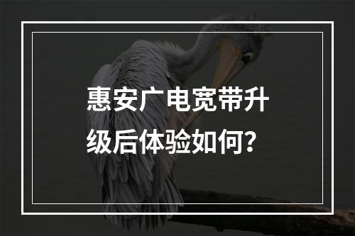 惠安广电宽带升级后体验如何？