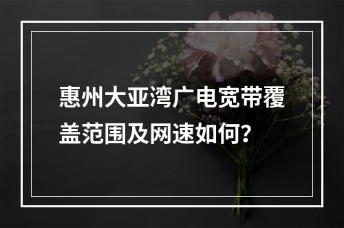 惠州大亚湾广电宽带覆盖范围及网速如何？