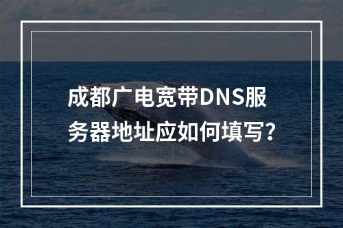 成都广电宽带DNS服务器地址应如何填写？