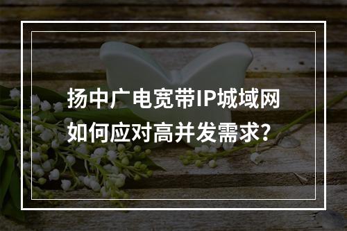 扬中广电宽带IP城域网如何应对高并发需求？