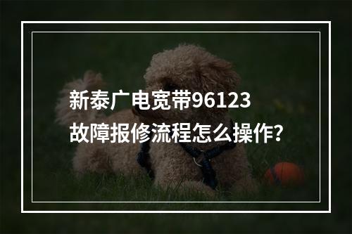 新泰广电宽带96123故障报修流程怎么操作？