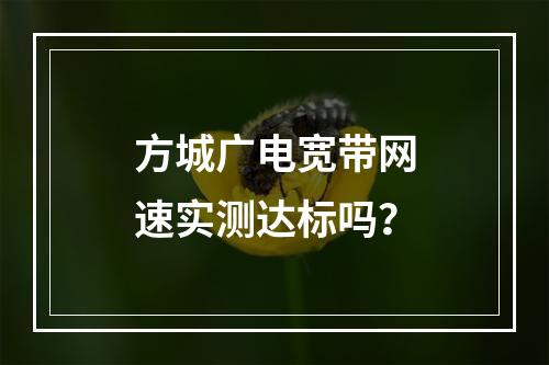 方城广电宽带网速实测达标吗？