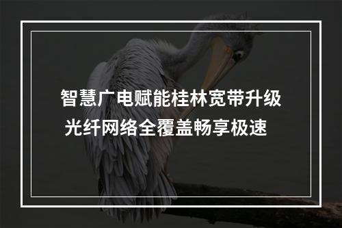 智慧广电赋能桂林宽带升级 光纤网络全覆盖畅享极速