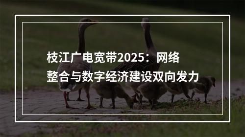 枝江广电宽带2025：网络整合与数字经济建设双向发力