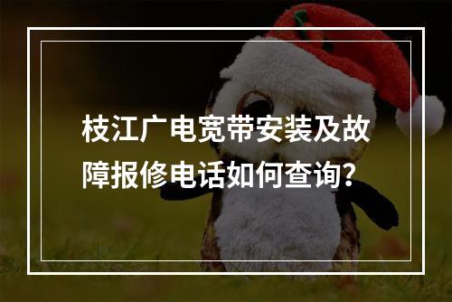 枝江广电宽带安装及故障报修电话如何查询？