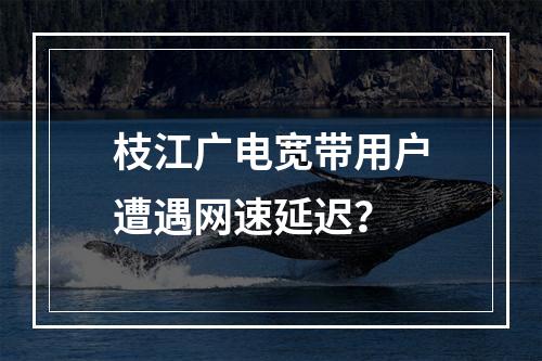 枝江广电宽带用户遭遇网速延迟？