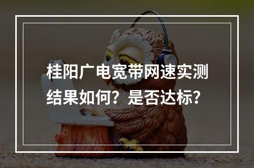 桂阳广电宽带网速实测结果如何？是否达标？