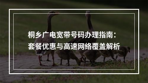 桐乡广电宽带号码办理指南：套餐优惠与高速网络覆盖解析
