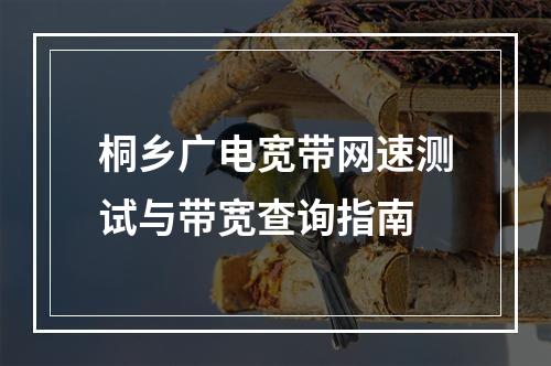 桐乡广电宽带网速测试与带宽查询指南