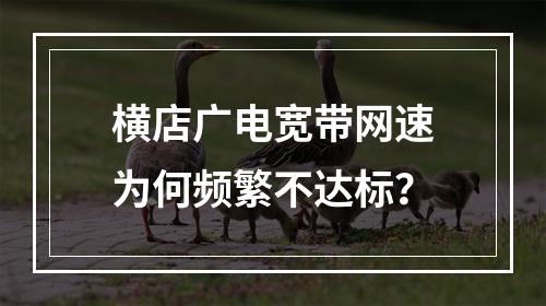 横店广电宽带网速为何频繁不达标？