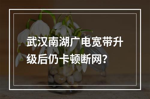 武汉南湖广电宽带升级后仍卡顿断网？