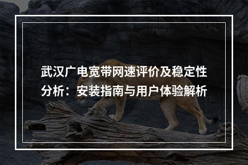 武汉广电宽带网速评价及稳定性分析：安装指南与用户体验解析