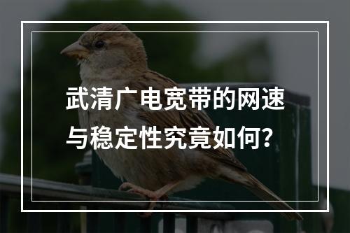 武清广电宽带的网速与稳定性究竟如何？
