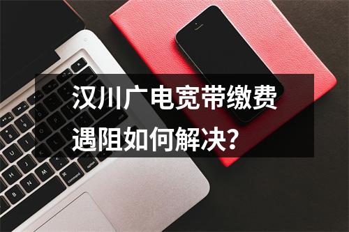 汉川广电宽带缴费遇阻如何解决？