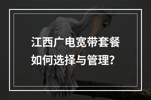江西广电宽带套餐如何选择与管理？