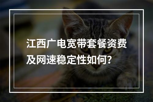 江西广电宽带套餐资费及网速稳定性如何？