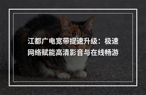 江都广电宽带提速升级：极速网络赋能高清影音与在线畅游