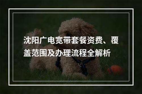 沈阳广电宽带套餐资费、覆盖范围及办理流程全解析