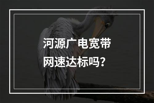 河源广电宽带网速达标吗？