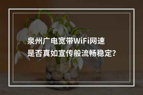 泉州广电宽带WiFi网速是否真如宣传般流畅稳定？