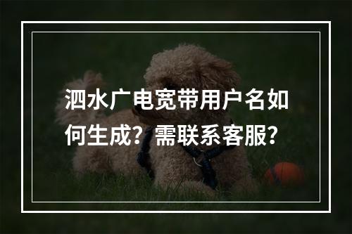 泗水广电宽带用户名如何生成？需联系客服？