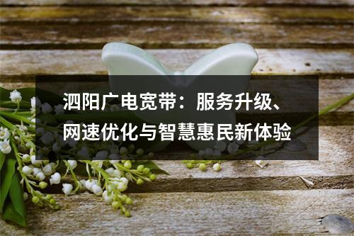 泗阳广电宽带：服务升级、网速优化与智慧惠民新体验