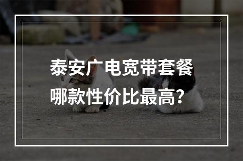 泰安广电宽带套餐哪款性价比最高？