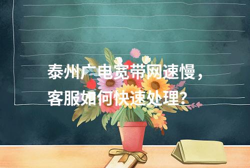 泰州广电宽带网速慢，客服如何快速处理？