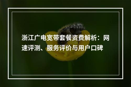 浙江广电宽带套餐资费解析：网速评测、服务评价与用户口碑