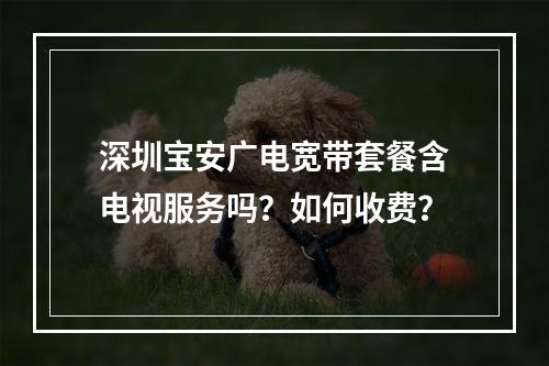 深圳宝安广电宽带套餐含电视服务吗？如何收费？
