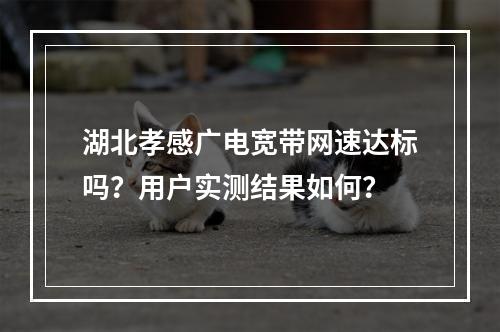 湖北孝感广电宽带网速达标吗？用户实测结果如何？