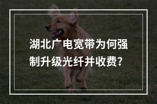 湖北广电宽带为何强制升级光纤并收费？