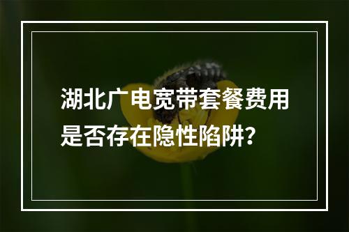 湖北广电宽带套餐费用是否存在隐性陷阱？