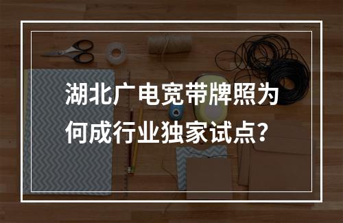 湖北广电宽带牌照为何成行业独家试点？