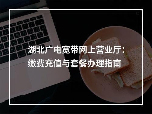 湖北广电宽带网上营业厅：缴费充值与套餐办理指南