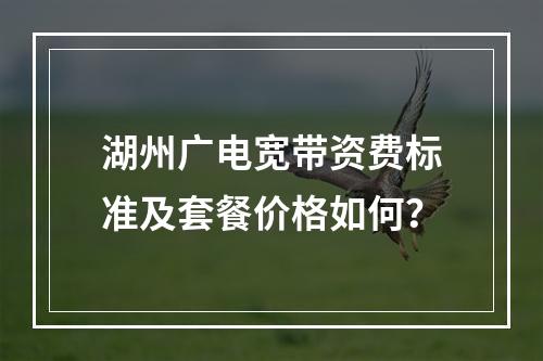 湖州广电宽带资费标准及套餐价格如何？