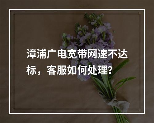 漳浦广电宽带网速不达标，客服如何处理？