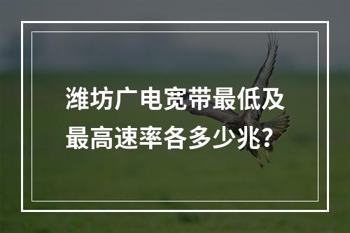 潍坊广电宽带最低及最高速率各多少兆？