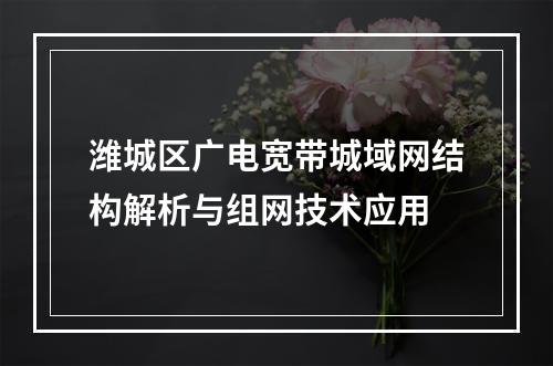 潍城区广电宽带城域网结构解析与组网技术应用