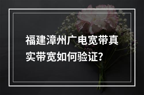 福建漳州广电宽带真实带宽如何验证？