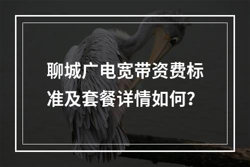 聊城广电宽带资费标准及套餐详情如何？