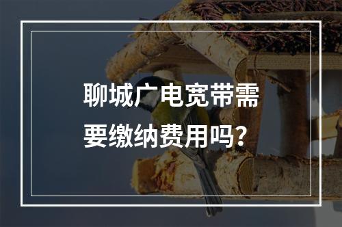 聊城广电宽带需要缴纳费用吗？