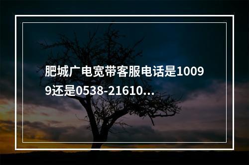 肥城广电宽带客服电话是10099还是0538-2161007？