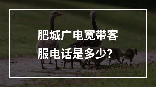 肥城广电宽带客服电话是多少？