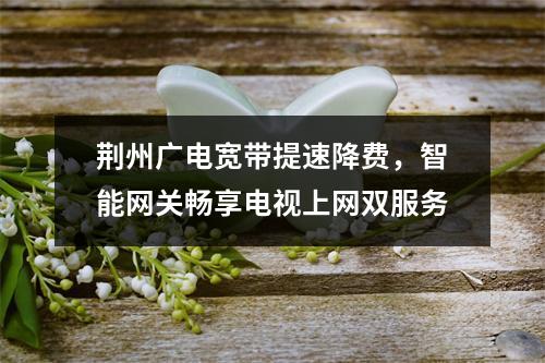 荆州广电宽带提速降费，智能网关畅享电视上网双服务